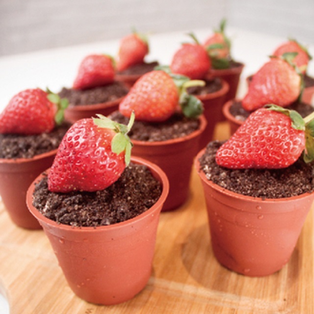 【木匠手作】草莓盆栽提拉米蘇(3盒30入) (訂製)